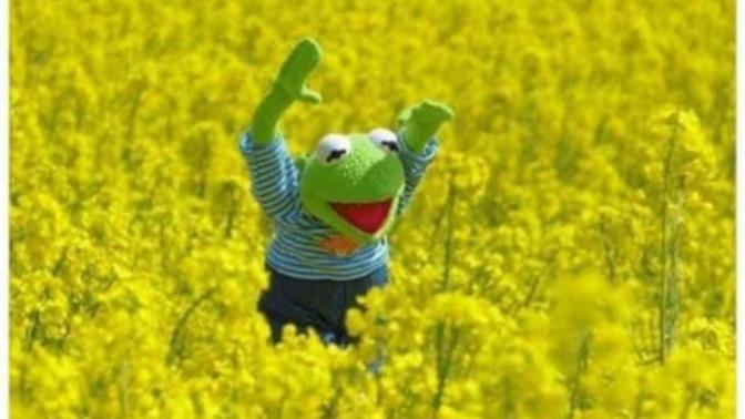 Have you ever felt happier/felt relief after a break up?