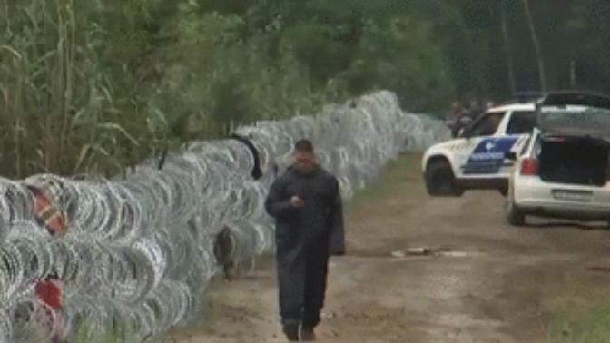 Trump was scared of the Mexican caravan smashing through US border; now this caravan has mysteriously disappeared! WTF kind of reality TV show is this?
