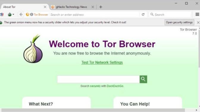 Browser options anybody? Which one (s) do you use?