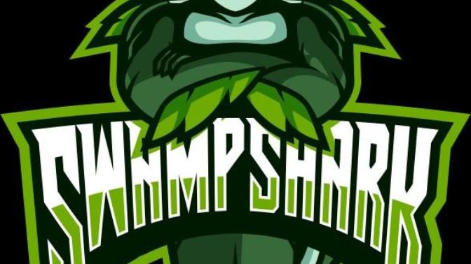 What the best way to get subs and to get girl gamers?