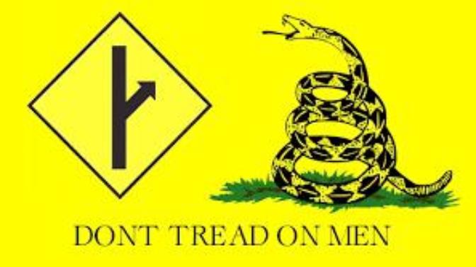 Why Oppose MGTOW (movement of men who boycott women) ?