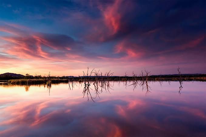 Would you enjoy cloud-watching on a date?