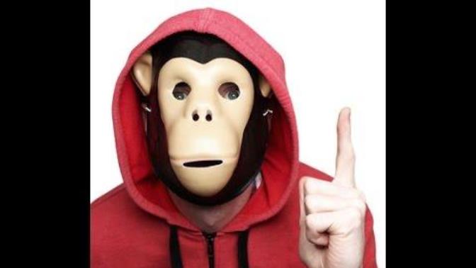 Why does anyone believe in evolution it's fake?
