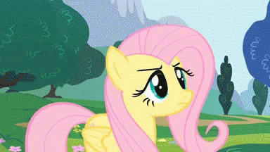 Bronies Yay or Neigh?