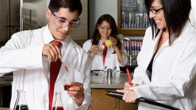 Which subject do you love the most and why?