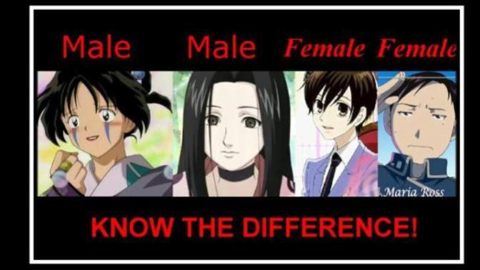 Do you think being bi/pan would be an advantage in anime?