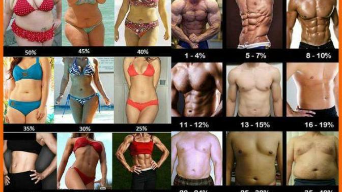 What percentage of body fat do you prefer in a partner?