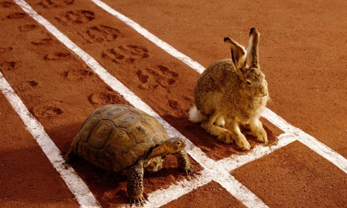 What is the moral of the story about the tortoise and the hare?
