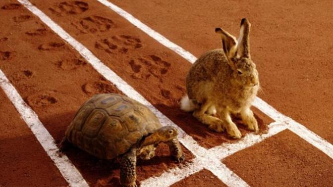 What is the moral of the story about the tortoise and the hare?