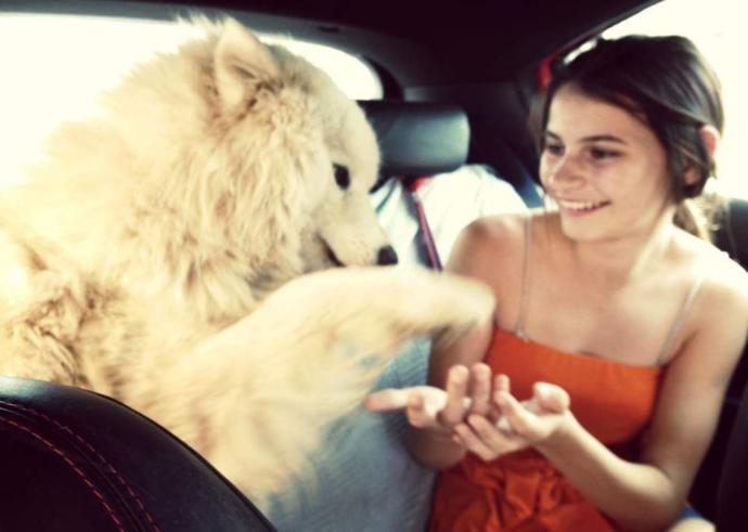 Have you ever lost beloved pet? how did you move on?