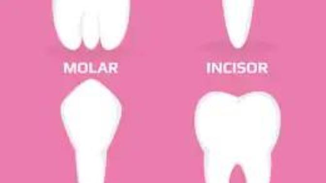 Teething problems?