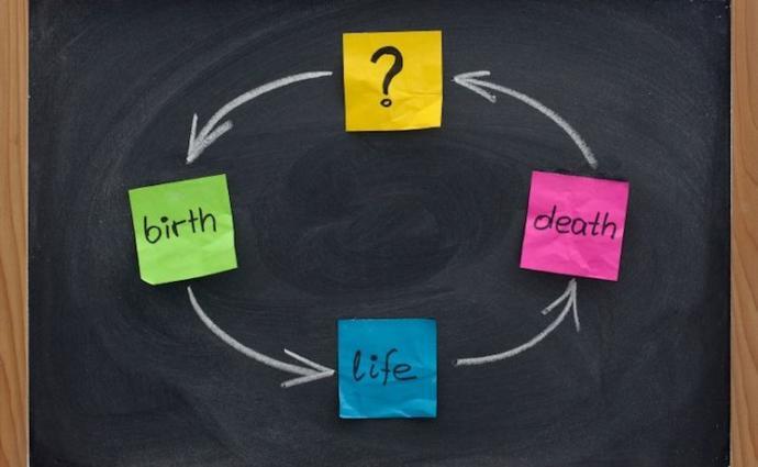 Do you believe rebirth actually happens?