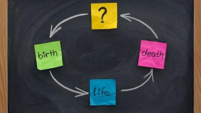 Do you believe rebirth actually happens?