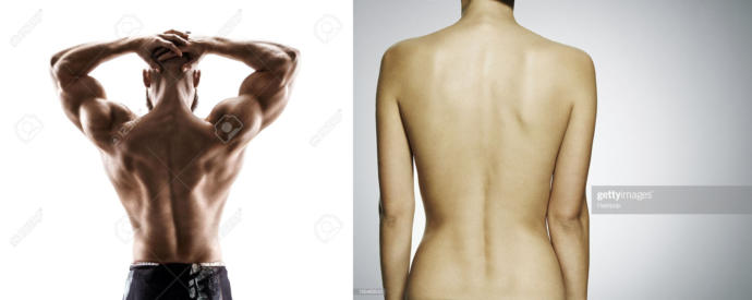 What's your favorite body part on the sex/gender you're attracted to?
