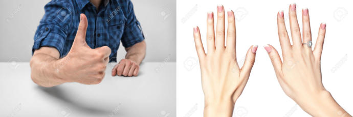 What's your favorite body part on the sex/gender you're attracted to?