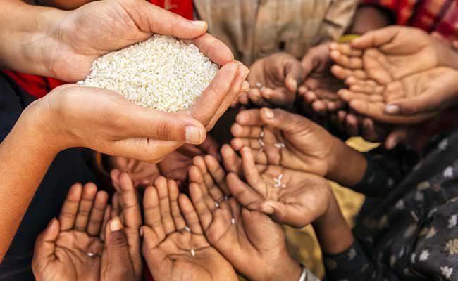 How would you solve world hunger?
