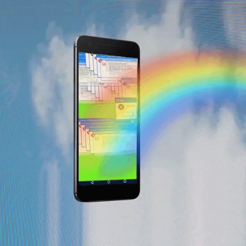 What is the size of your mobile phone screen?