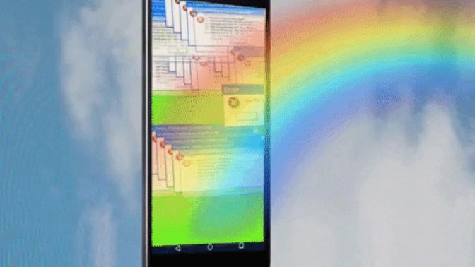 What is the size of your mobile phone screen?