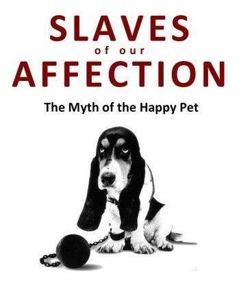 Pets are virtually enslaved or kidnapped?