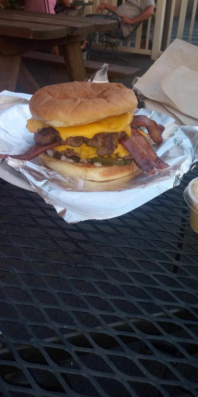 (Part 2) How does this burger and Chili Cheese Fries look?
