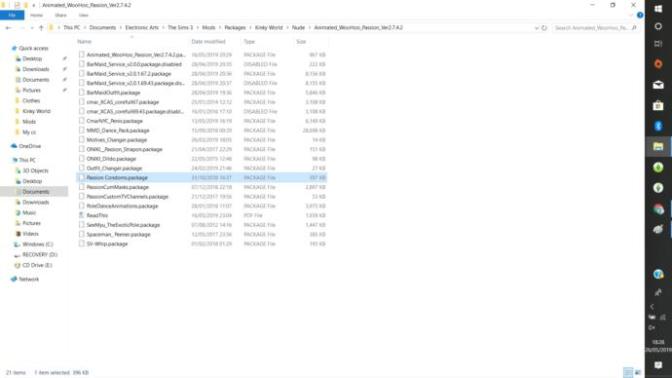 What do you think about my mod folder for sims 3?