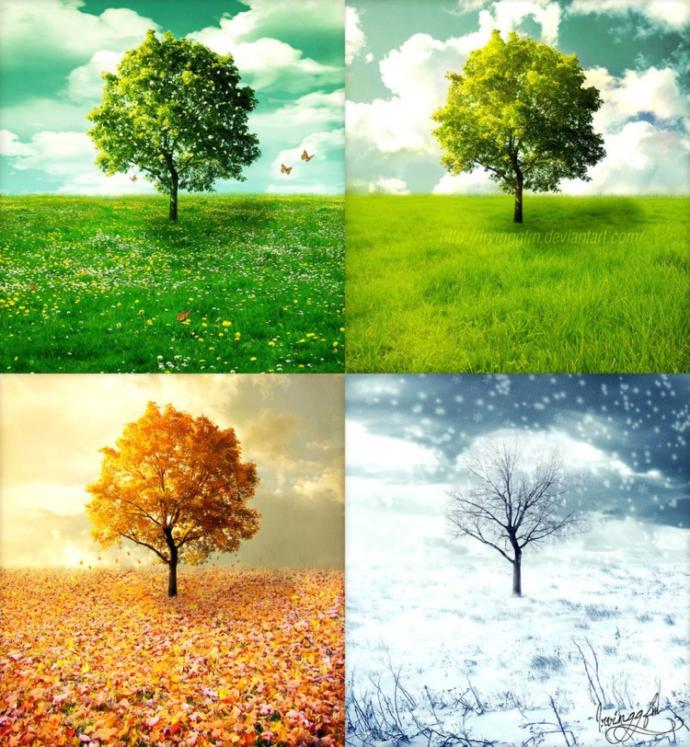 Which season is your favourite?