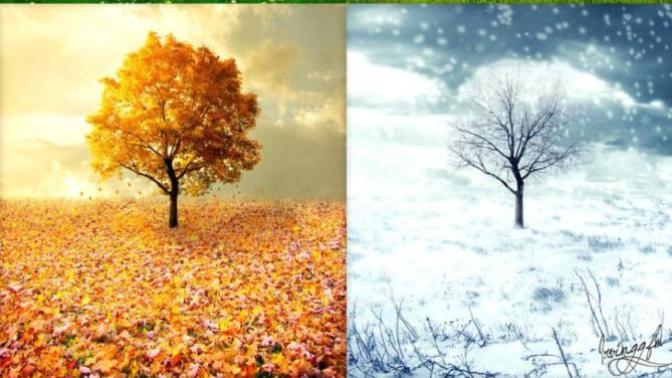 Which season is your favourite?