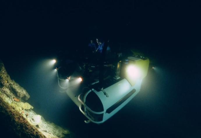 If you could, which part of the ocean would you like to explore?
