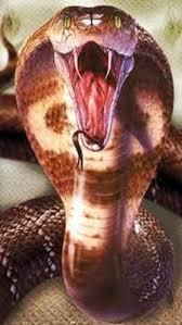 Did You Know That Christ Was Likened to a Serpent?