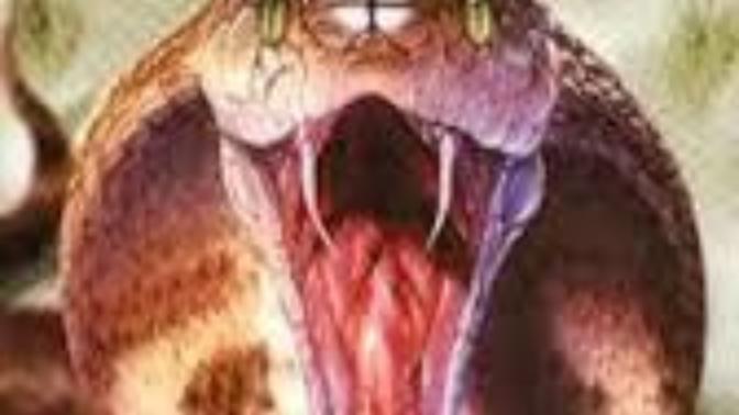 Did You Know That Christ Was Likened to a Serpent?