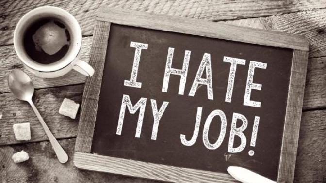 How Much Do You Like Your Job In % & Why?
