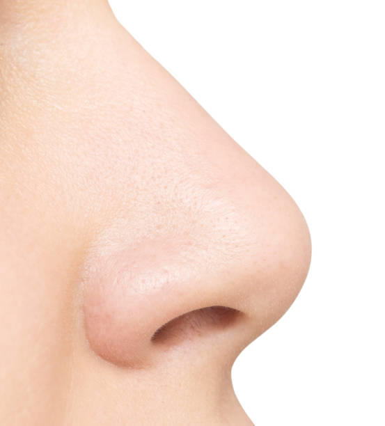 Would you rather lose your ability to taste or smell? 
