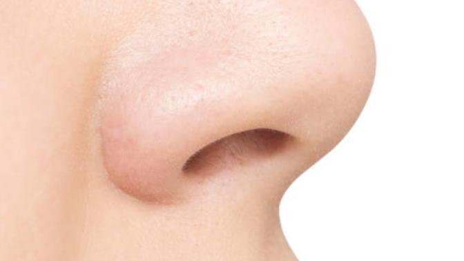 Would you rather lose your ability to taste or smell?