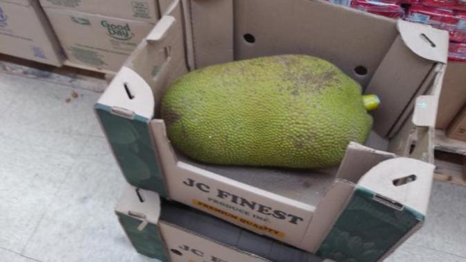 What in sam h! ll is this?