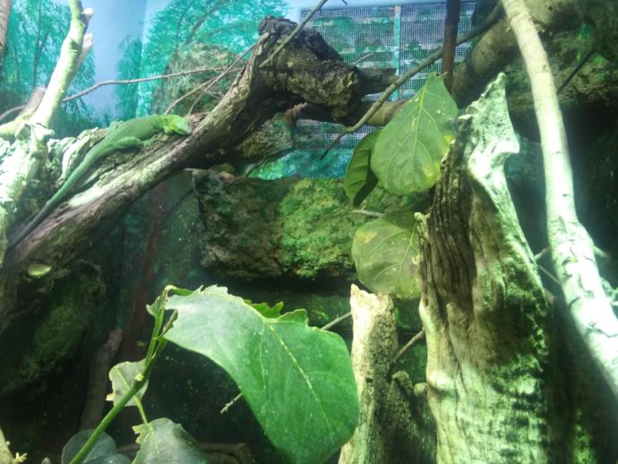 Would you want to go to the zoo on a date?