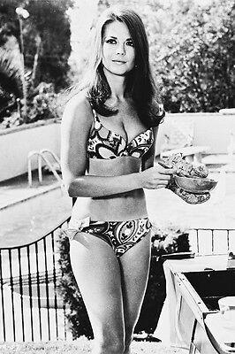 Were women just not as sexy and toned in the 50's-60's like women today judging by the pics?