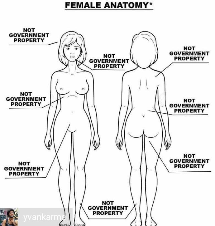 How much do you know the female anatomy?