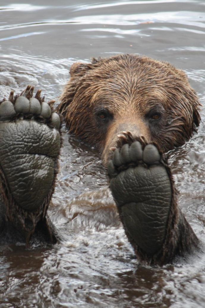 Who has most beautiful feet?