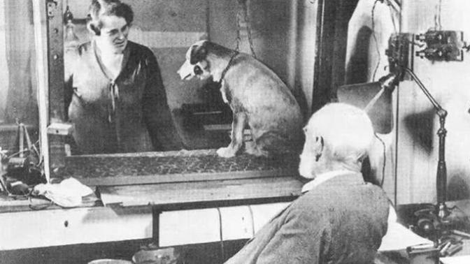 Does the name "Pavlov" ring a bell with you?