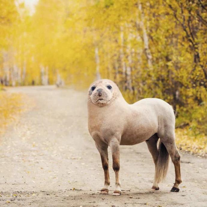 What animal hybrid (s) would you want to be real?