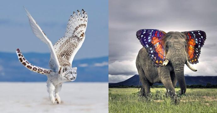 What animal hybrid (s) would you want to be real?