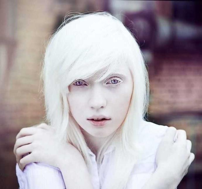 This is the perfect woman's face. Have you ever seen a girl who was more attractive to you?