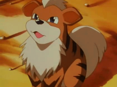 If you could choose any Pokemon to be your partner, which would it be?