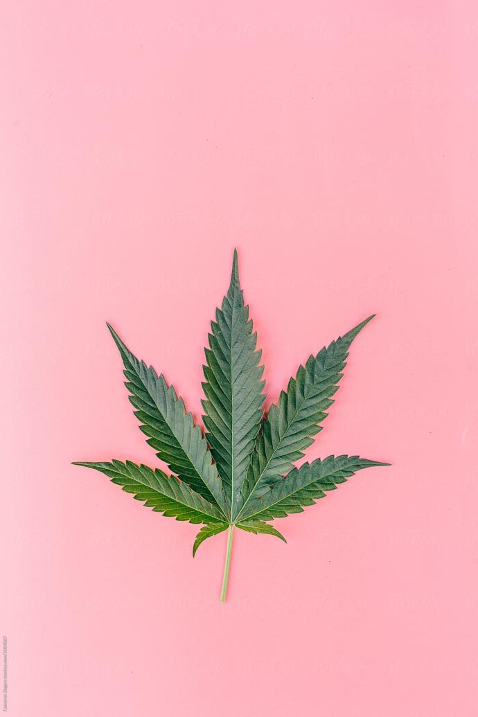 What type of flower (weed) is your favorite?