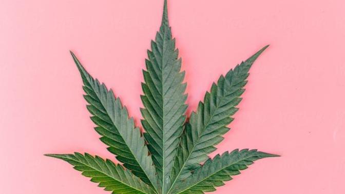 What type of flower (weed) is your favorite?