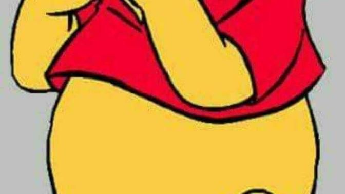 Girls, what is your favorite color that is on Pooh?