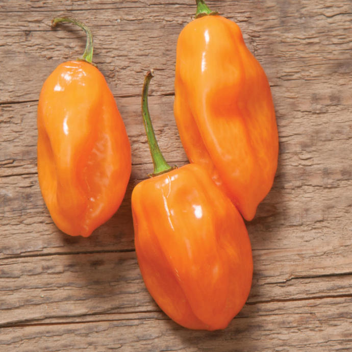 Do you like hot peppers?