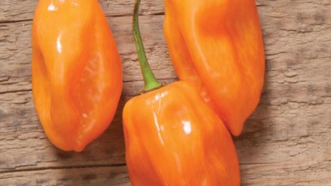 Do you like hot peppers?