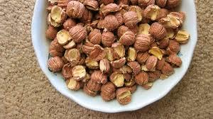 Do you like acorn?