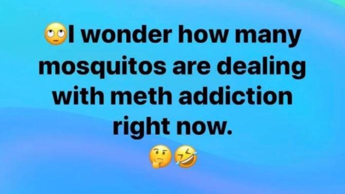 If a mosquito sucks a meth addicts blood?